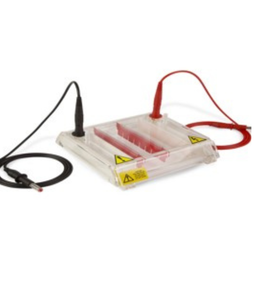 Electrophoresis & Power Supply